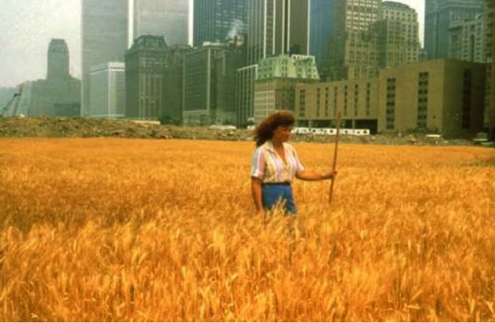 Agnes Denes - Wheat field - A confrontation