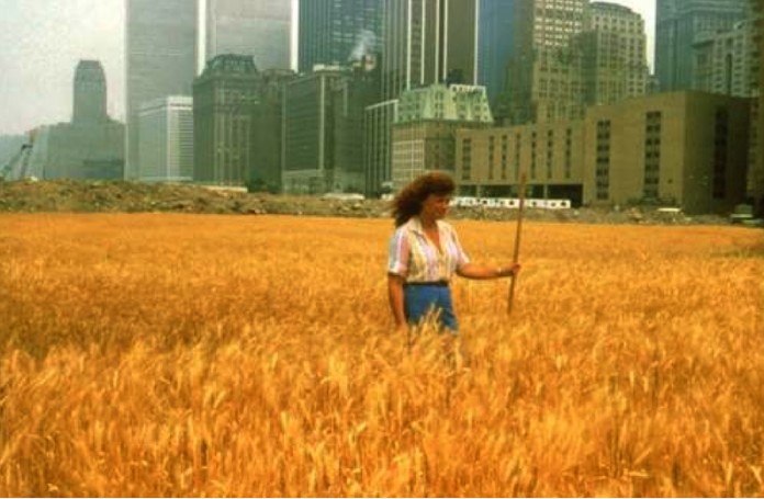 32377_agnesdenes Agnes Denes - Wheat field - A confrontation